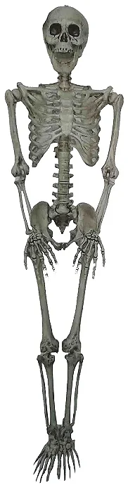 Esqueleto de Plástico Articulado Decorativo 90cm – Decoração de Halloween