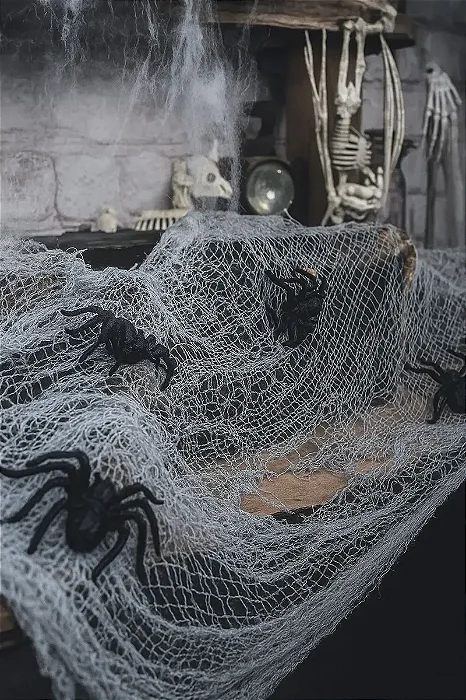 Cortina de Teia com Aranhas 300x75cm