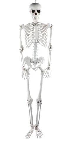 Jack Esqueleto Articulado 185 cm – Decoração Gigante para Halloween