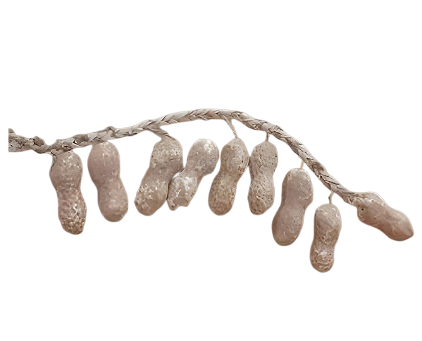 Cordão Decorativo de Amendoim para Festa Junina – 20 Amendoins 4,5cm