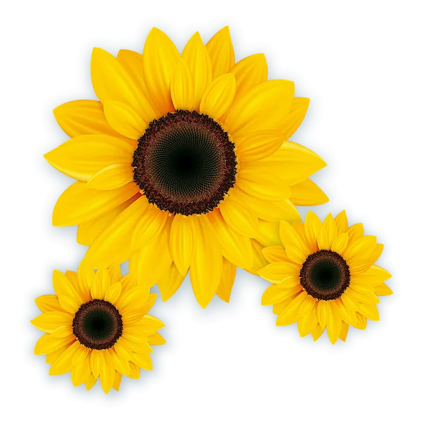 Kit Girassol Decorativo com 3 Unidades – Festa Junina