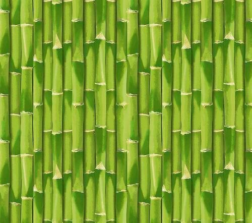 TNT Estampado Bambu - 1 metro