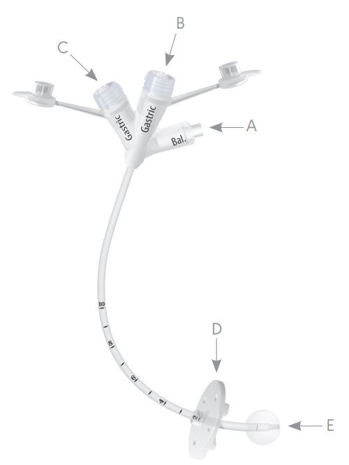Sonda de Gastrostomia Troca MIC* -  AVANOS