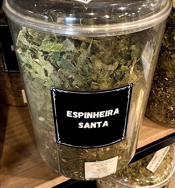 Chá de Espinheira Santa