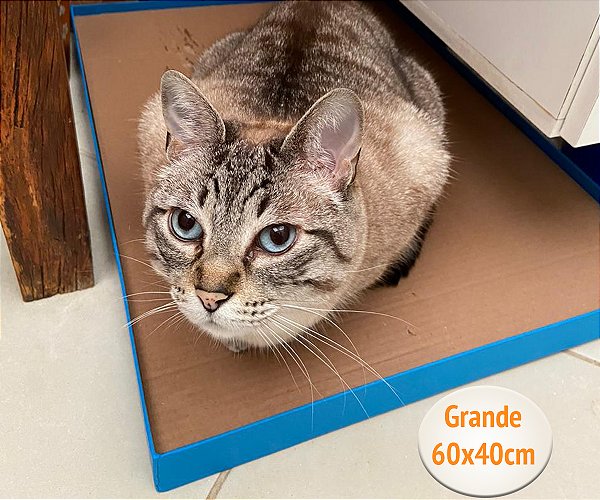 Brinquedo Pet - Arranhador para gatos Grande