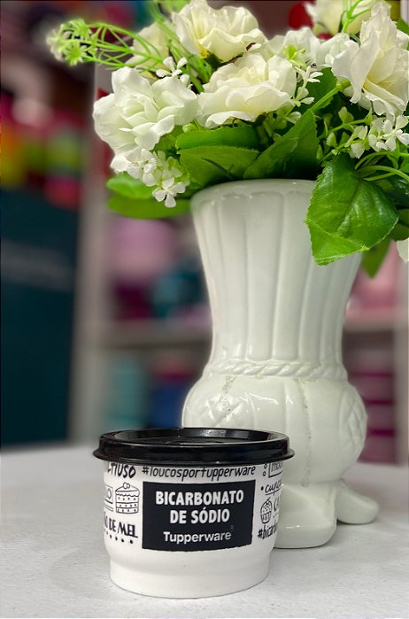 POTINHO PB BICARBONATO DE SÓDIO