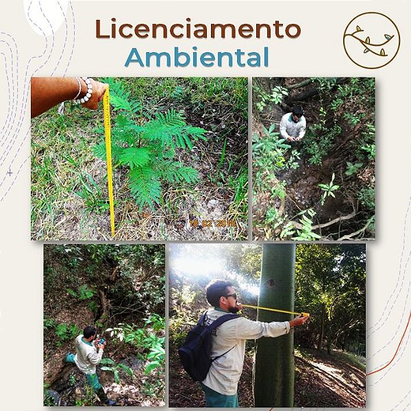 Consultoria Ambiental para Licenciamento