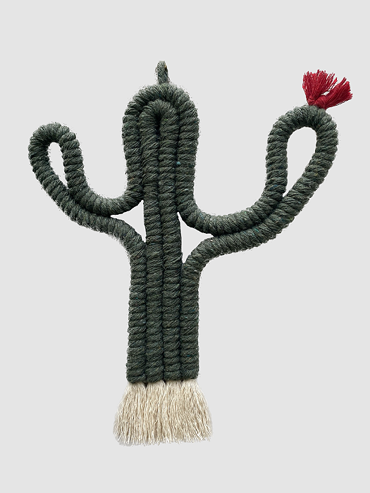 Cacto decorativo