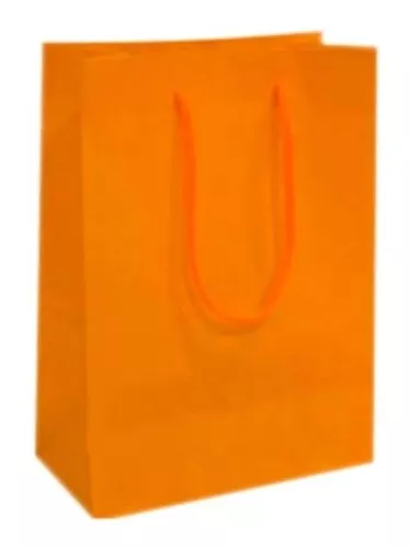 Sacola Lisa Surpresa Neon P/ Festa C/10 Unidades - Laranja