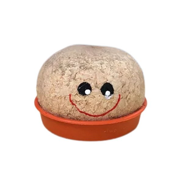 Amigo Verde