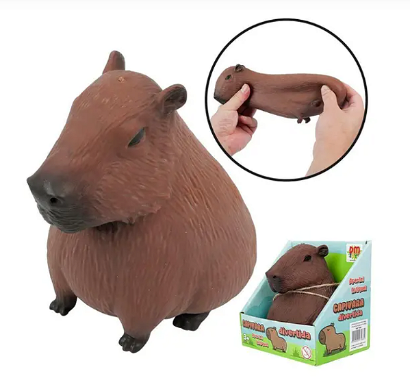 Capivara Divertida