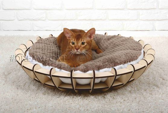 Cama de Gato