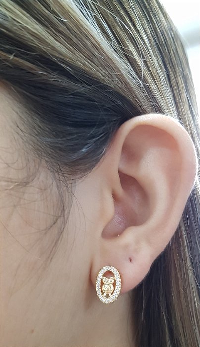 Brincos Coruja Cravejado Semijoia 18k