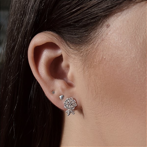 Brincos Flor Cravejado com Zircônias Prata 925 - BPR789