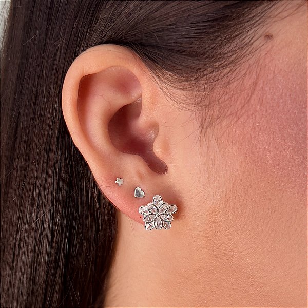 Brincos Flor com Zircônias Prata 925 - BPR797