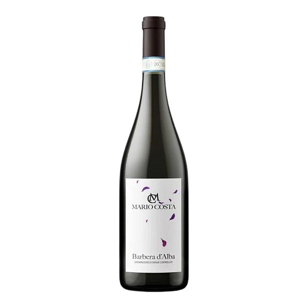 Mario Costa Barbera D'Alba 2022