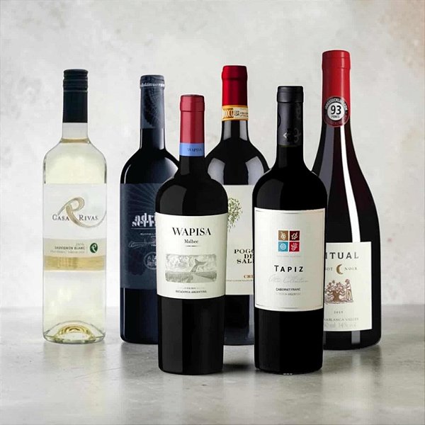 Kit Para Surpreender E Acertar Em Cheio 6 Garrafas