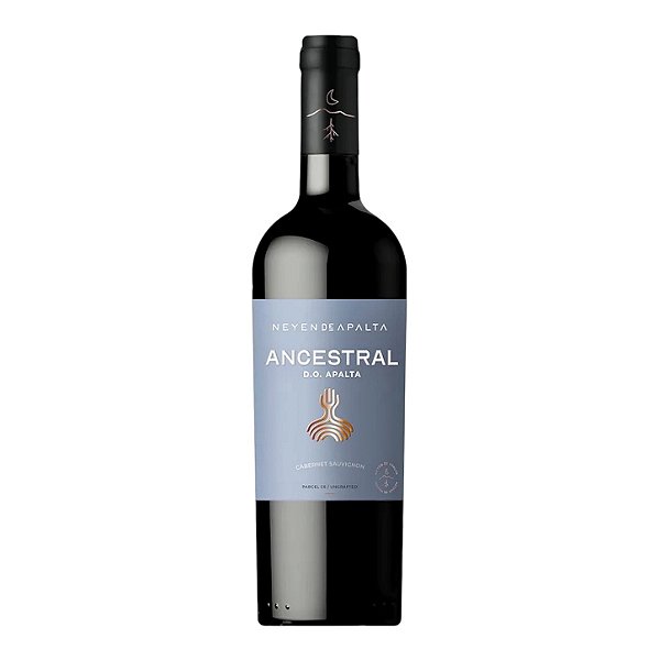 Neyen de Apalta Ancestral Cabernet Sauvignon 2023 vinho tinto chileno reconhecido da região do Valle de Colchagua
