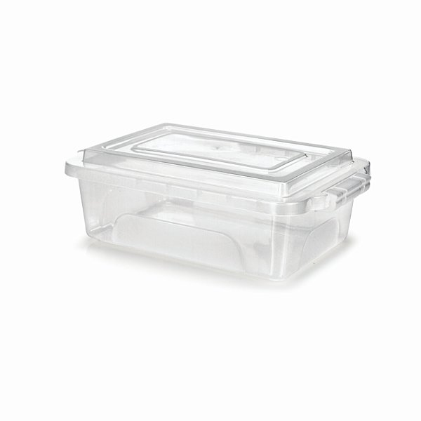 Caixa Organizadora 10L