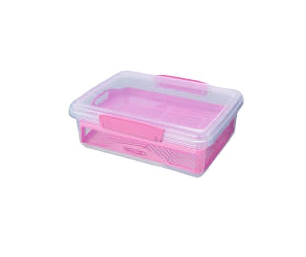 PORTA FRIOS 2L