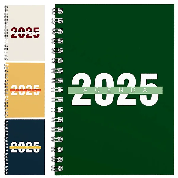 Agenda Lisa 2025 A6 168 Páginas