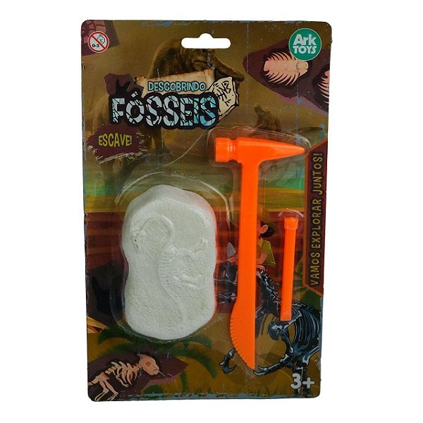 Descobrindo Fósseis