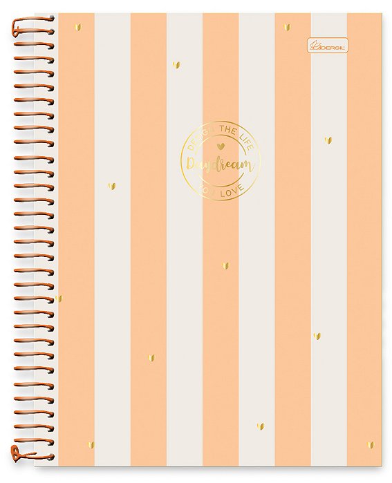 Caderno + Planner Universitário 01 Matéria Capa Dura Daydream DD02