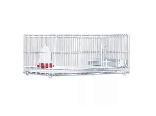 Gaiola Pinteiro Criar Pintinho Codorna Avulso Bateria - 1 Pç