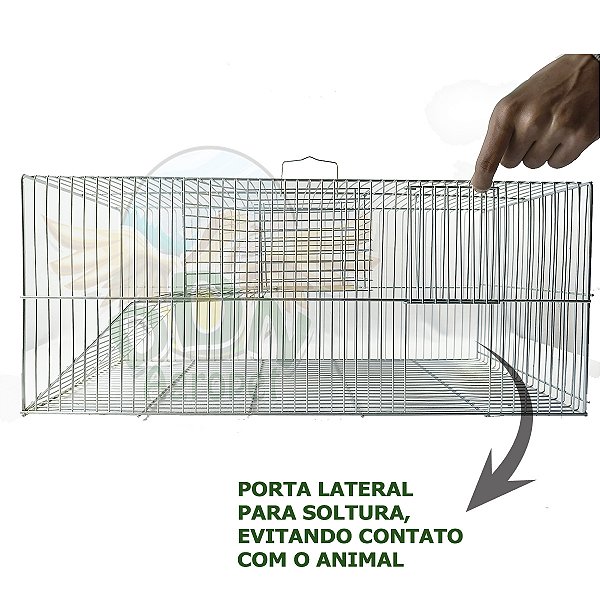 Ratoeira Grande Armadilha Isca Ratos Camundongos Automática
