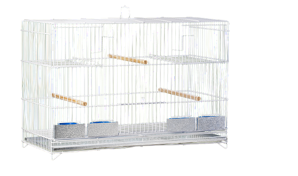 Gaiola Criadeira Grande Calopsita Periquito Agapornis (2 Cores)