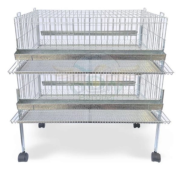 Kit 2 Gaiola Codorna Gigante Poedeira Base Bateria 40 Aves