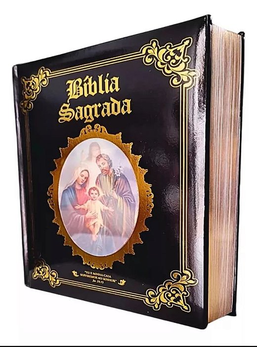 BIBLIA  ILUSTRADA LUXO PRETA