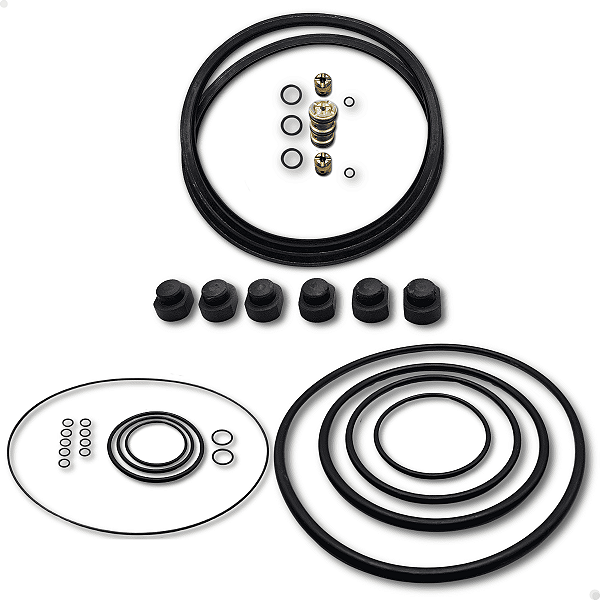 Jogo Reparos Completo Placa Pneumática Onça Pp125