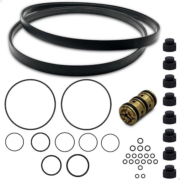 Kit de Reparo Completo O'rings Válvula Retenção Systec P260