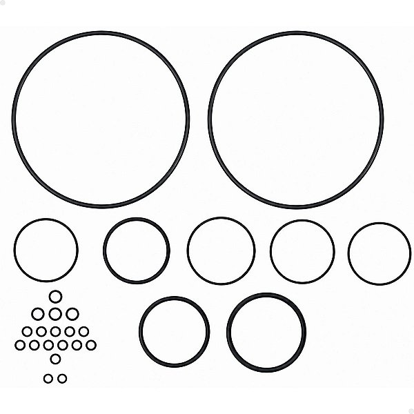 Jogo Kit De Reparos (o'rings) Placa Pneumática Systec P260