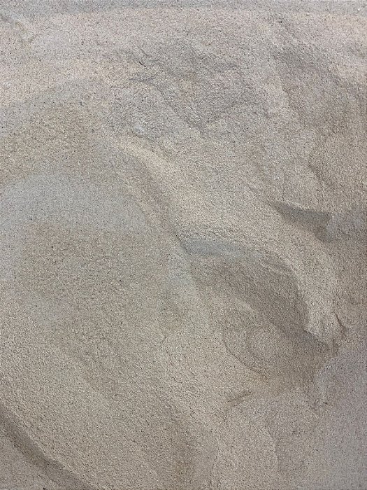 Levedo de Cerveja em Pó