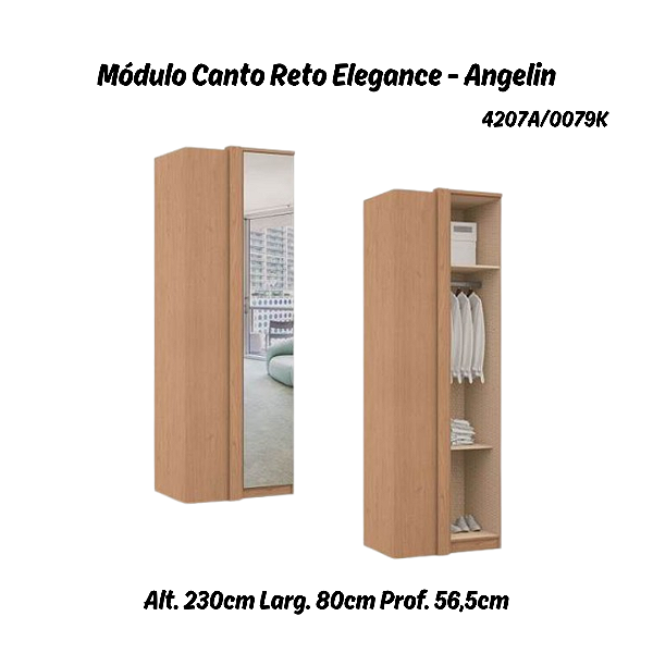 Módulo Canto Reto 01 Porta Elegance c/ Espelho - 4207A - Angelin - Móveis Castro