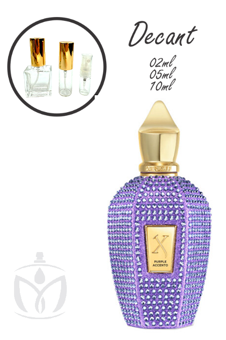 Purple Accento Xerjoff (Decants)