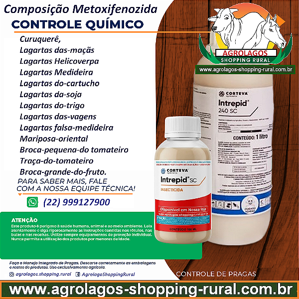 Inseticida Intrepid 240 Fracionado 100 ml - Composição Metoxifenozida
