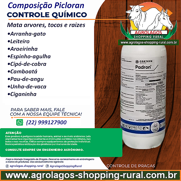 Herbicida Padron - Picloram Mata Arvores, Tocos e Raízes