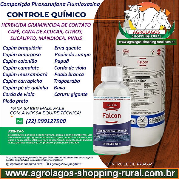 Herbicida Falcon Fracionado 100 ml - Composição Flumioxazina