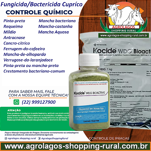 Fungicida Kocide Fracionado 100 gr - Composição Hidróxido de Cobre