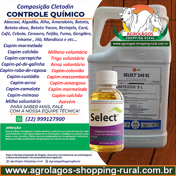 Herbicida Graminicida Select 240 Fracionado 100 ml - Composição Cletodin
