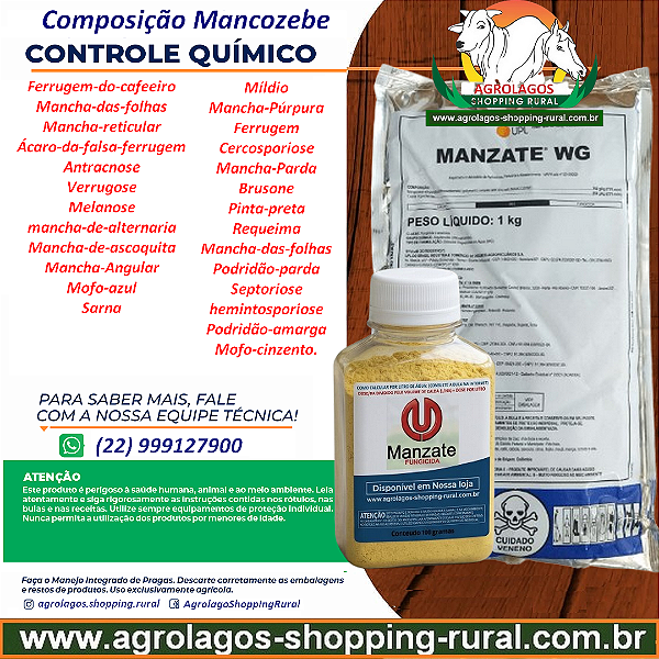 Fungicida Manzate 800 WP Fracionado 100 g - Composição Mancozebe