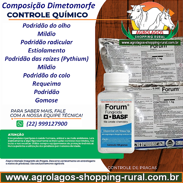 Fungicida Forum Fracionado 50 g - Composição Dimetomorfe
