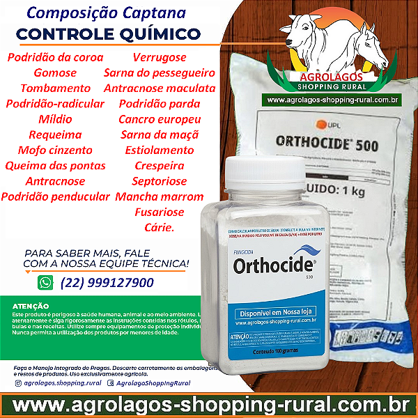 Fungicida Orthocide 500 Fracionado 100 gr - Composição Captana