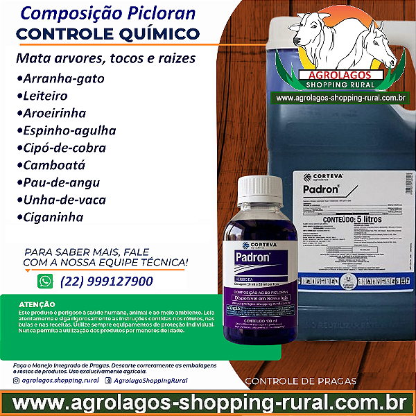 Herbicida Padron Fracionado 100 ml - Mata Arvores, Tocos e Raízes Picloran