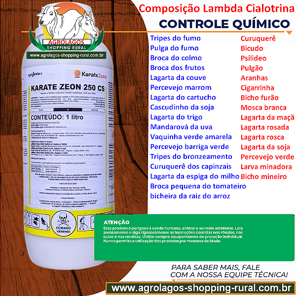 Inseiticida Karate Zeon 250 CS 1 Litros - Lambda-Cialotrina
