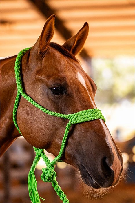 Cabresto trançado com cabo verde limão