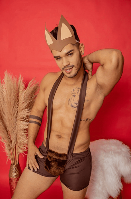 Fantasia Erótica Masculina Lobo Mau